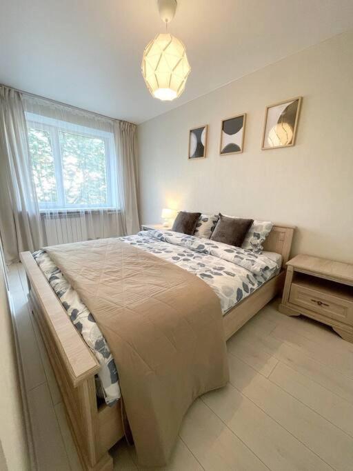 New Modern Apartments In The City Center Narva Exterior photo